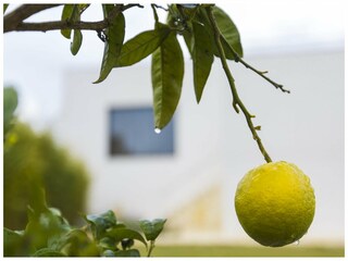 Casa per le vacanze Caldes d'Estrac  38