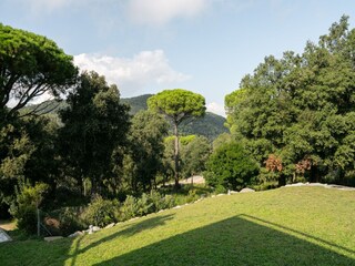 Ferienhaus Caldes d'Estrac Außenaufnahme 12
