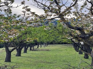 Casa de vacaciones Odèn Entorno 22