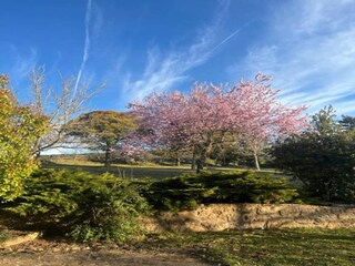 Casa de vacaciones Odèn Entorno 22