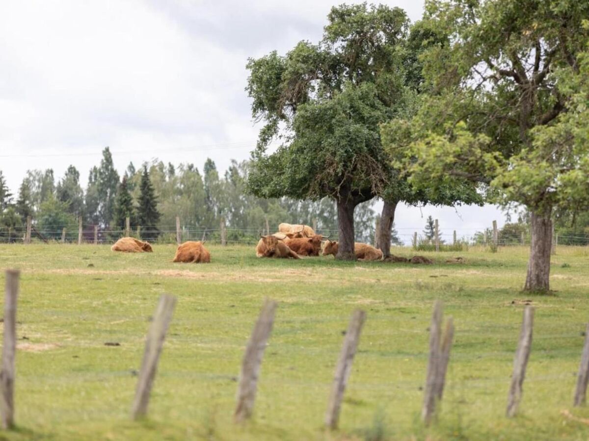 Holiday house Hommert Environment 27