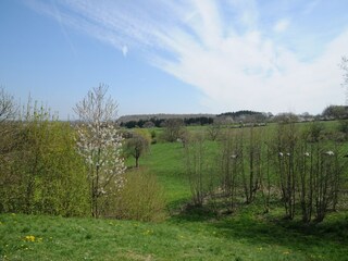Casa de vacaciones Somme-Leuze Grabación al aire libre 6