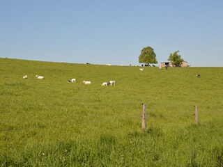 Holiday house Somme-Leuze Environment 27