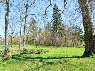 Holiday house Somme-Leuze Environment 28