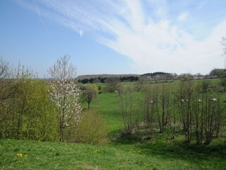 Maison de vacances Somme-Leuze Enregistrement extérieur 6