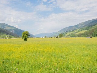 Casa per le vacanze Niedernsill Ambiente 29