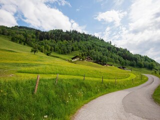 Casa per le vacanze Niedernsill Ambiente 31