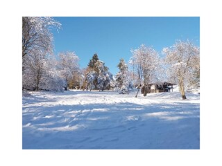 Winterlandschaft