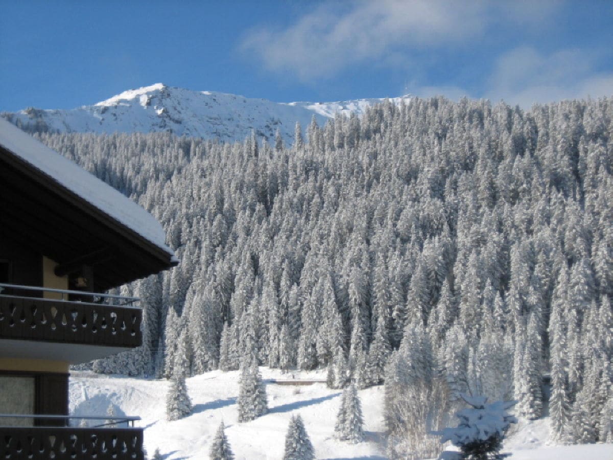 Blick von der Terrasse zum Gotschnagipfel