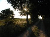 Der Weg zur "Alten Ziegelei" führt sie...