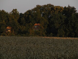 Appartamento per vacanze Röbel Müritz Registrazione all'aperto 4