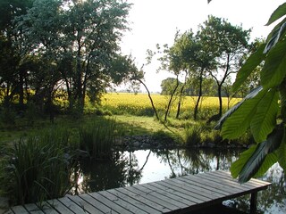 Apartamento de vacaciones Röbel Müritz Grabación al aire libre 8