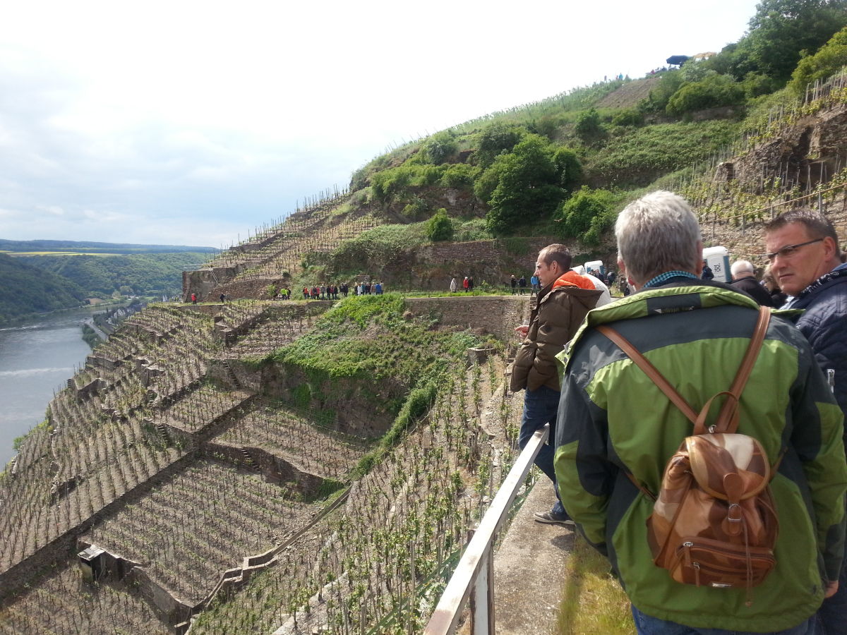 Weinwanderungen durchs romantische Moseltal