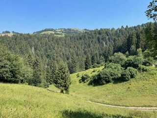Castello Lusiana Ambiente 25