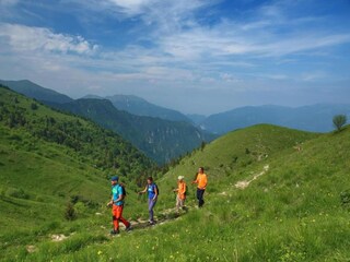 Château Lusiana Environnement 31