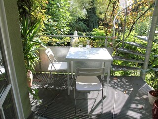 View of the garden in the back courtyard.