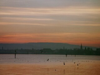 Sonnenuntergang am Seerhein