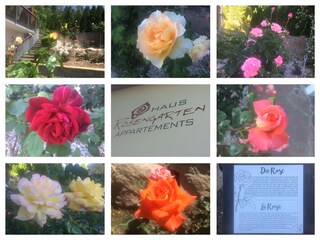 Appartamento per vacanze Dorf Tirol Registrazione all'aperto 4