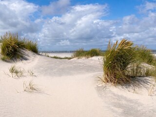 Dünen Ameland