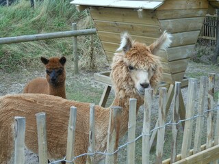 Vakantieappartement Buren Buitenaudio-opname 3
