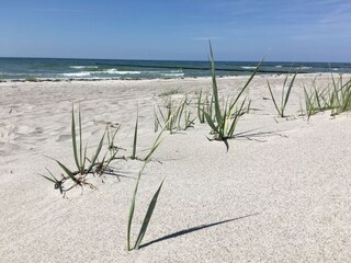 Hiddensee