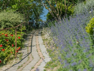 Villa Urbania Registrazione all'aperto 10