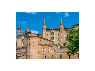 Villa Fossombrone Entorno 38