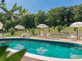 Villa Rosa - Pool area surrounded by the garden