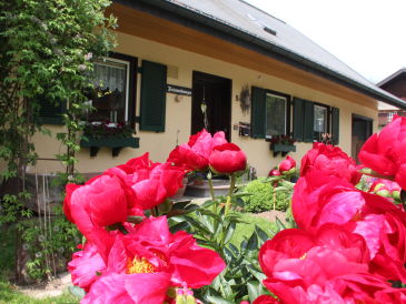 Ferienwohnung Pfaff
