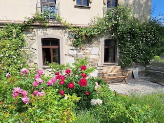 Entspannung in der Sonne