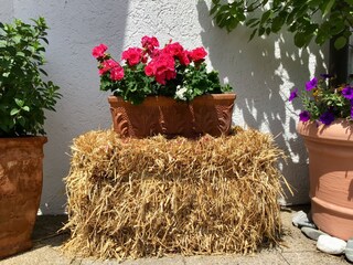 Appartamento per vacanze Berchtesgaden Registrazione all'aperto 4