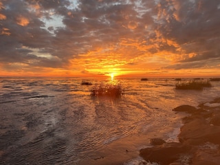 Hier bei uns beginnen die Wattwanderungen