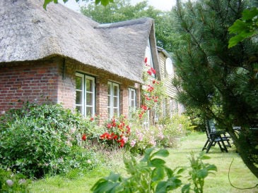 Ferienwohnung "Reethus"