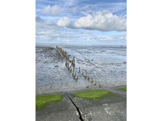 Ebbe mit Fernblick