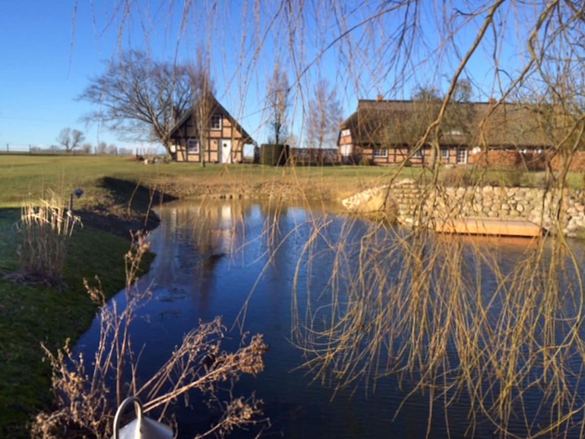 Teich auf dem Landhaus-Grundstück Rügen