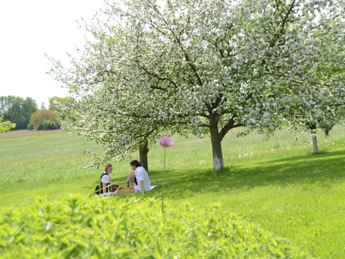 Ferienwohnung Treffelstein Außenaufnahme 6