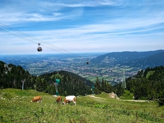 Brauneck-Bergbahn in wenigen Minuten zu Fuß erreichbar!