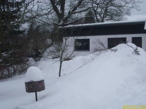 Ferienhaus Stier - Reichenbach im Vogtland - image1