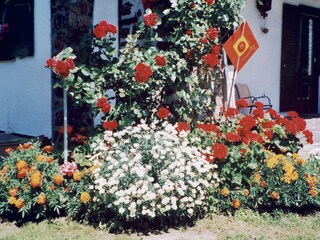 Appartamento per vacanze Zwiesel Registrazione all'aperto 11