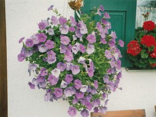 Appartamento per vacanze Zwiesel Registrazione all'aperto 6