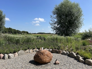 Der Saunagarten entwickelt sich prächtig…