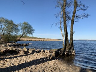 Apartment Plau am See Outdoor Recording 5