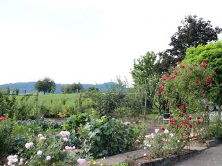 Apartamento de vacaciones Zell am Harmersbach Grabación al aire libre 15