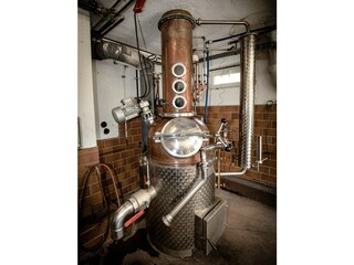 Appartamento per vacanze Zell am Harmersbach Registrazione all'aperto 8