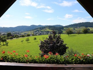 Appartement de vacances Zell am Harmersbach Environnement 10
