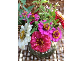 Appartamento per vacanze Zell am Harmersbach Registrazione all'aperto 13