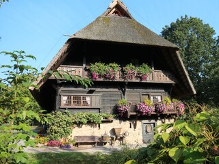 Appartamento per vacanze Zell am Harmersbach Ambiente 30