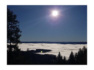 Apartamento de vacaciones Zell am Harmersbach Entorno 31