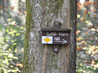 Appartamento per vacanze Zell am Harmersbach Ambiente 34