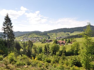 Apartamento de vacaciones Zell am Harmersbach Entorno 37